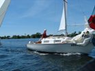 Shark Downwind