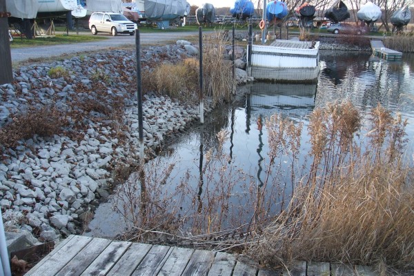 Nov 2009 (2).JPG